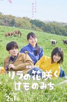 丁香花电影高清免费播放电视剧